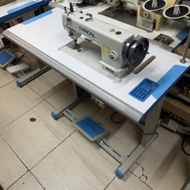 Typical Walking Foot Machine